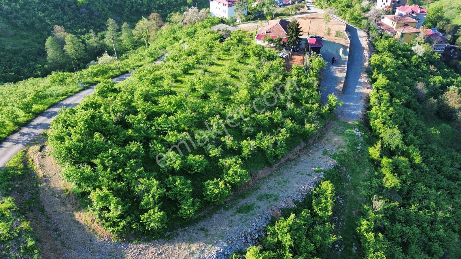 Trabzon'da Satılık Arsa - Görsel 20