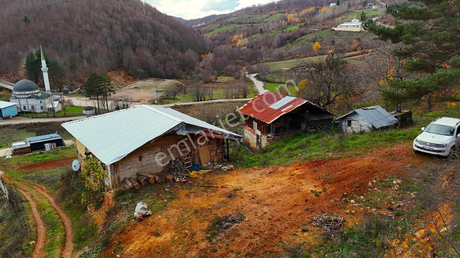 Kutluca Mahallesi'nde Doğayla İç İçe Eşsiz Konumda