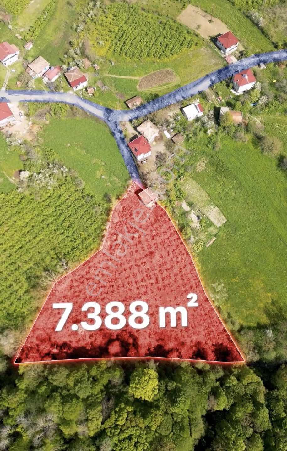 Atakum Karakavuk'ta Resmî Yollu Evli Satılık Fındık Bahçesi - Görsel 3