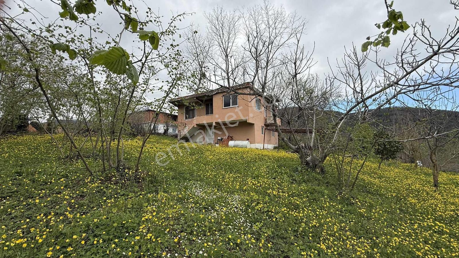 Atakum Karakavuk'ta Resmî Yollu Evli Satılık Fındık Bahçesi - Görsel 28