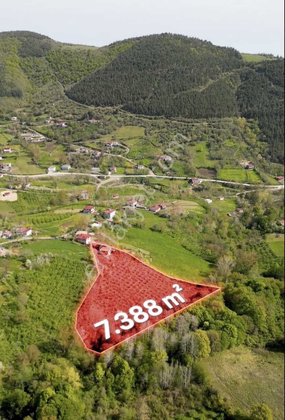 Atakum Karakavuk'ta Resmî Yollu Evli Satılık Fındık Bahçesi - Görsel 18