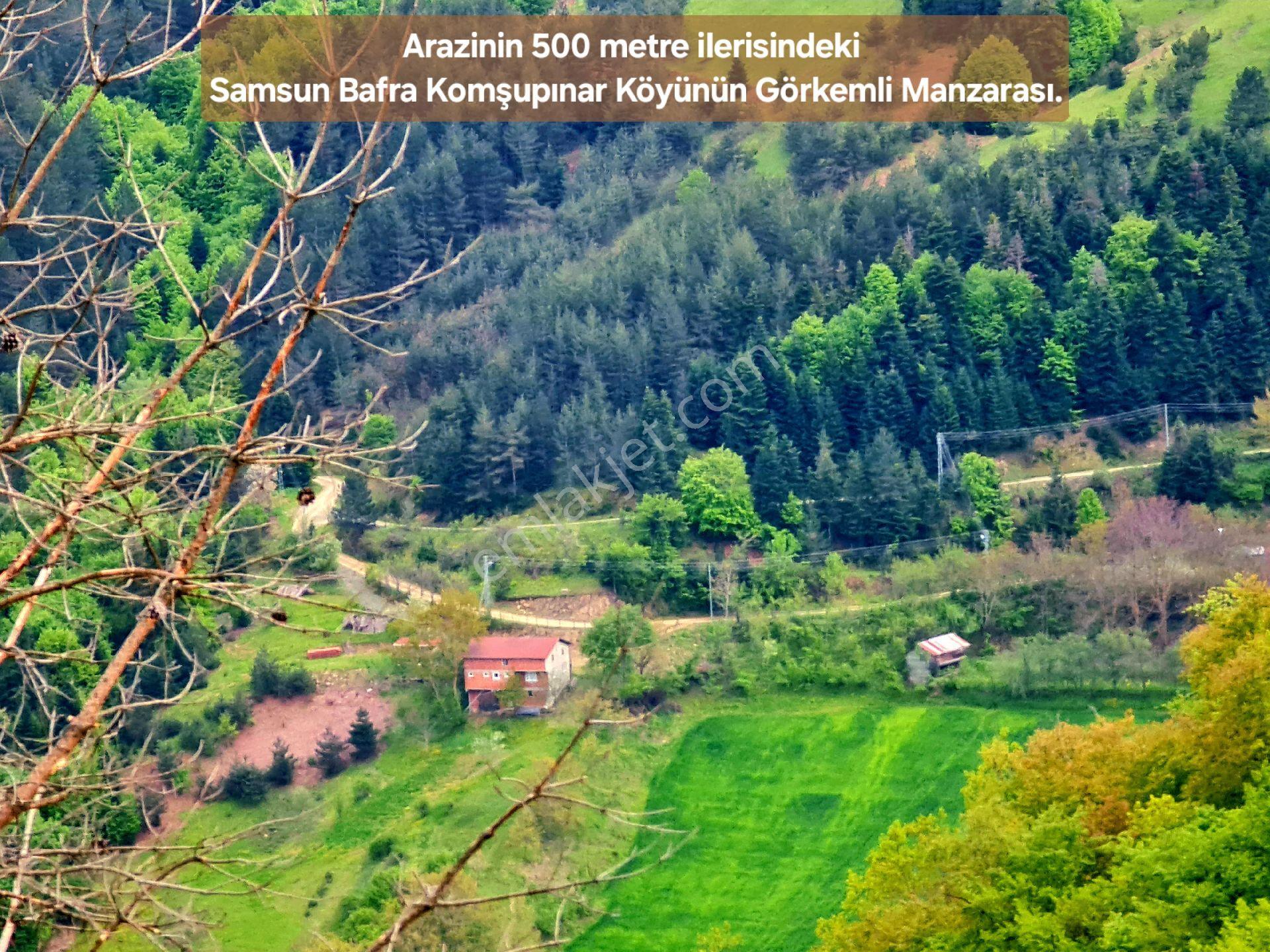 Samsun Bafra Komşupınar'da 1.143 M² Akarsulu Köye Denize Yakın Çok Güzel Tarla. Açıklamayı Okuyunuz - Görsel 29