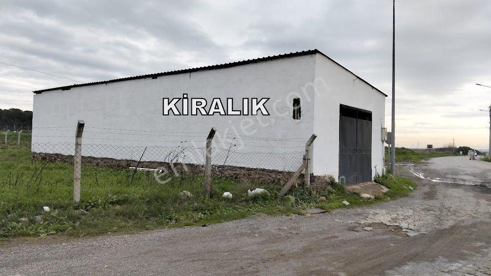 Ayvalık Küçüköy Kiralık Dükkan İş Yeri