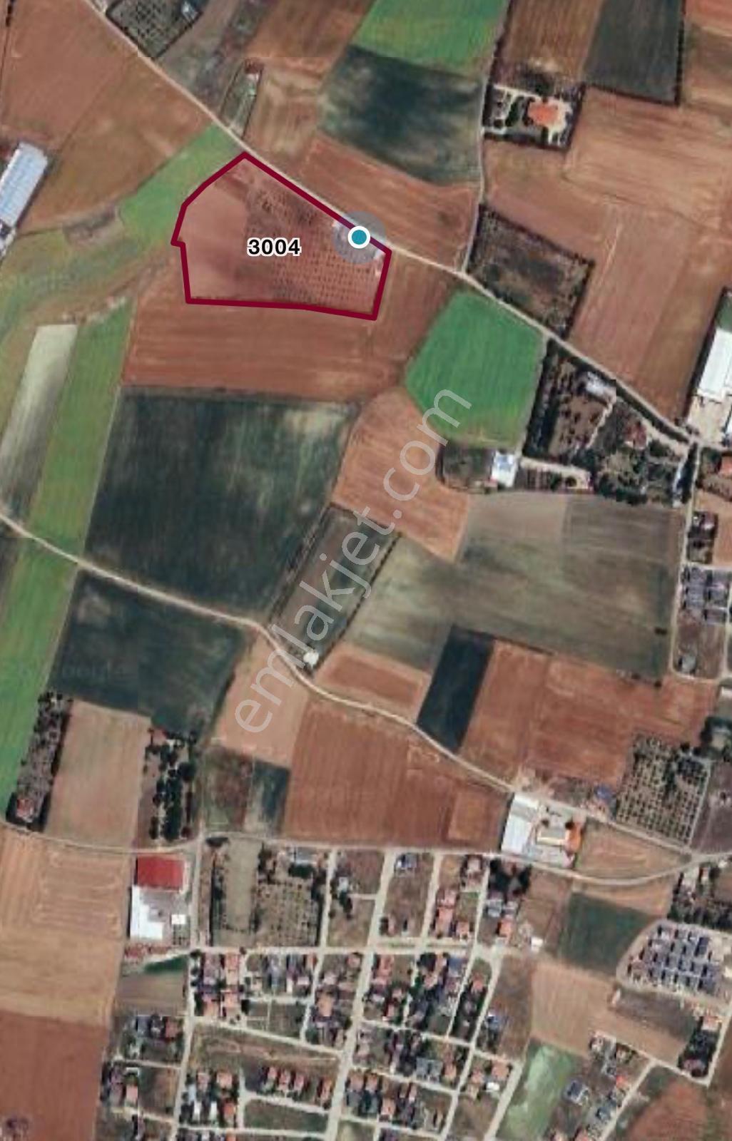 Yeniçiftliğin En Güzel Konumunda Deniz Manzaralı Çiftlik - Görsel 3