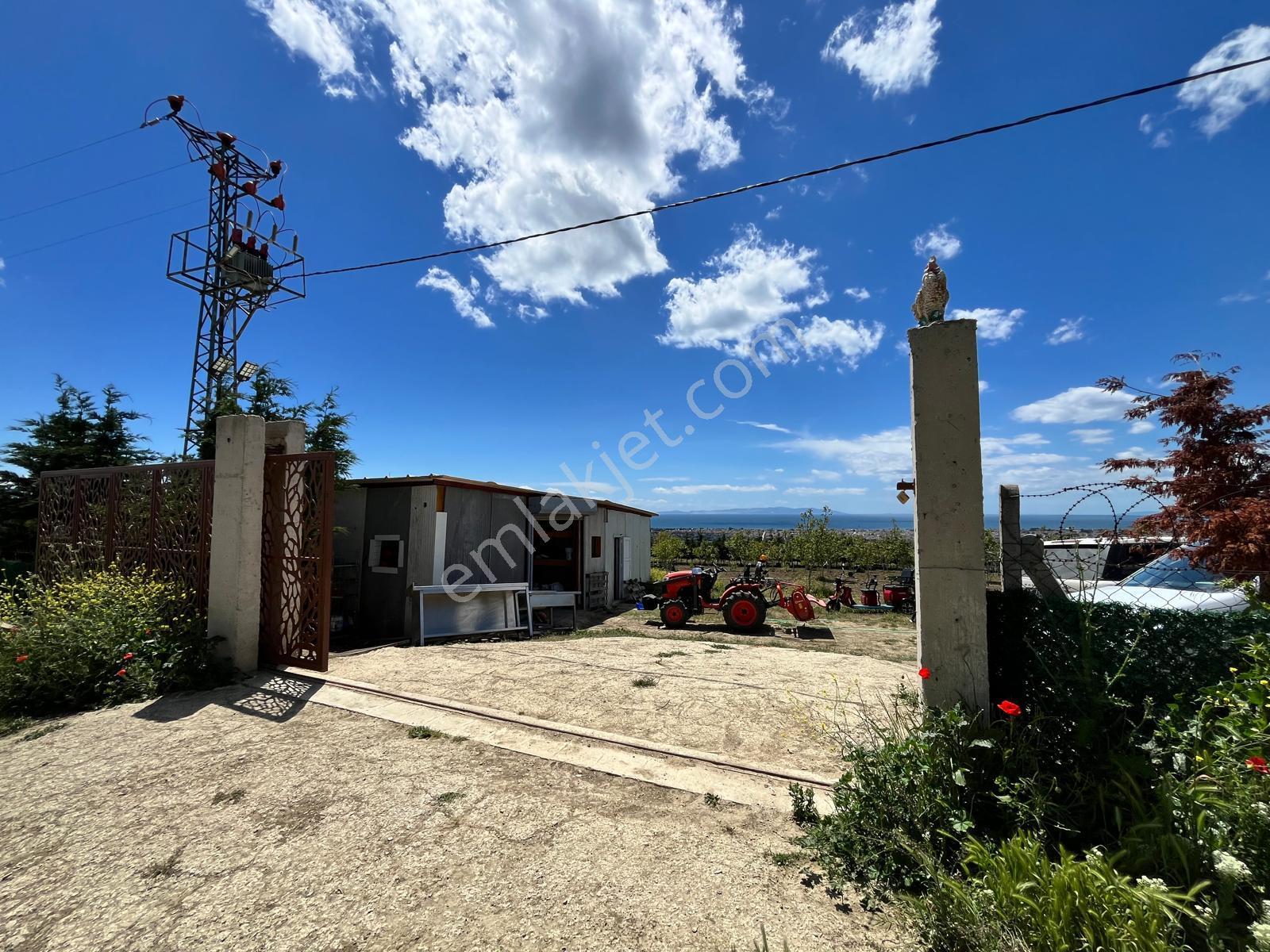 Yeniçiftliğin En Güzel Konumunda Deniz Manzaralı Çiftlik - Görsel 6