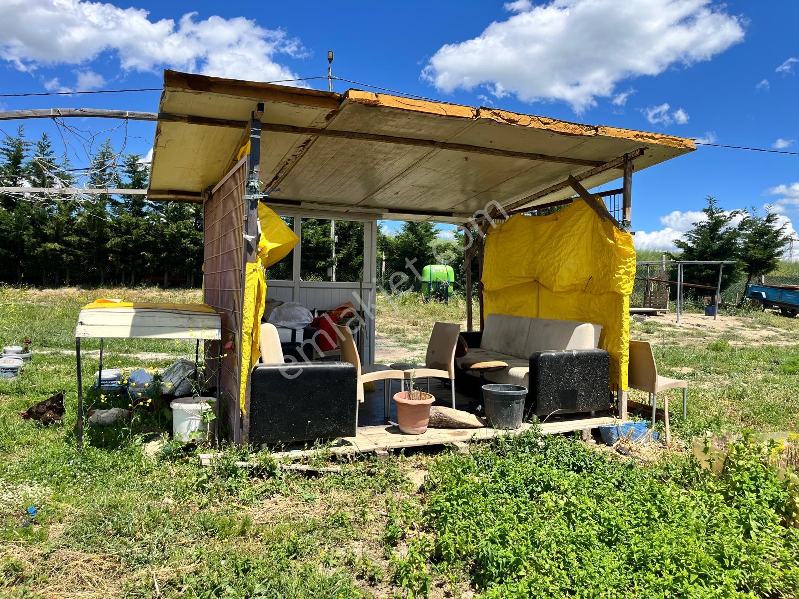 Yeniçiftliğin En Güzel Konumunda Deniz Manzaralı Çiftlik - Görsel 9