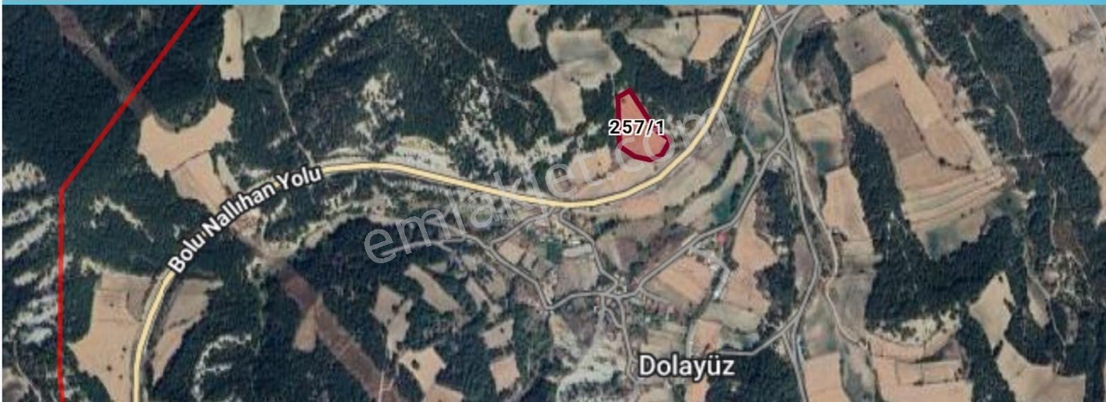 New Doors Realty' Den Mudurnu' Da Kaçırılmayacak Fırsat Tarla!!! - Görsel 6