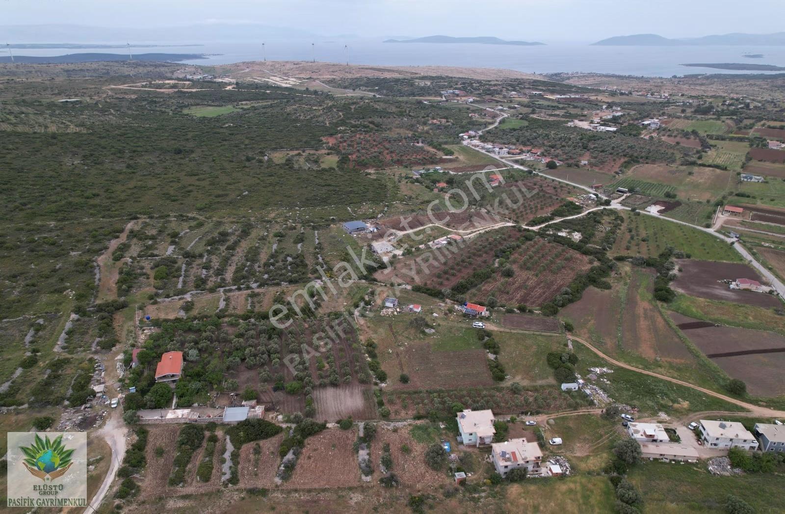 Çeşme Germiyan'da 1.771 M² Satılık Tek Tapu Arazi - Görsel 4
