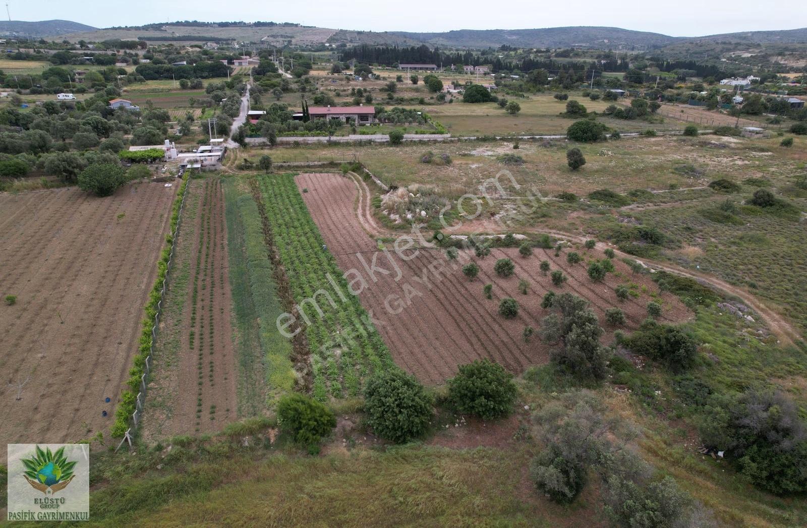 Pasifik'ten Çeşme Musalla Mh. 4.969 M² Satılık Tek Tapu Arazi - Görsel 7