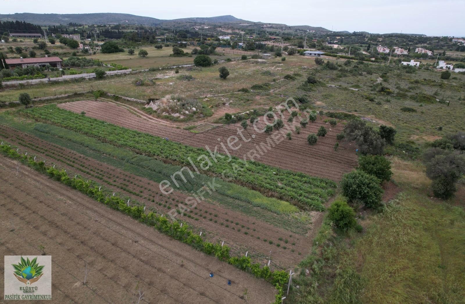 Pasifik'ten Çeşme Musalla Mh. 4.969 M² Satılık Tek Tapu Arazi - Görsel 5