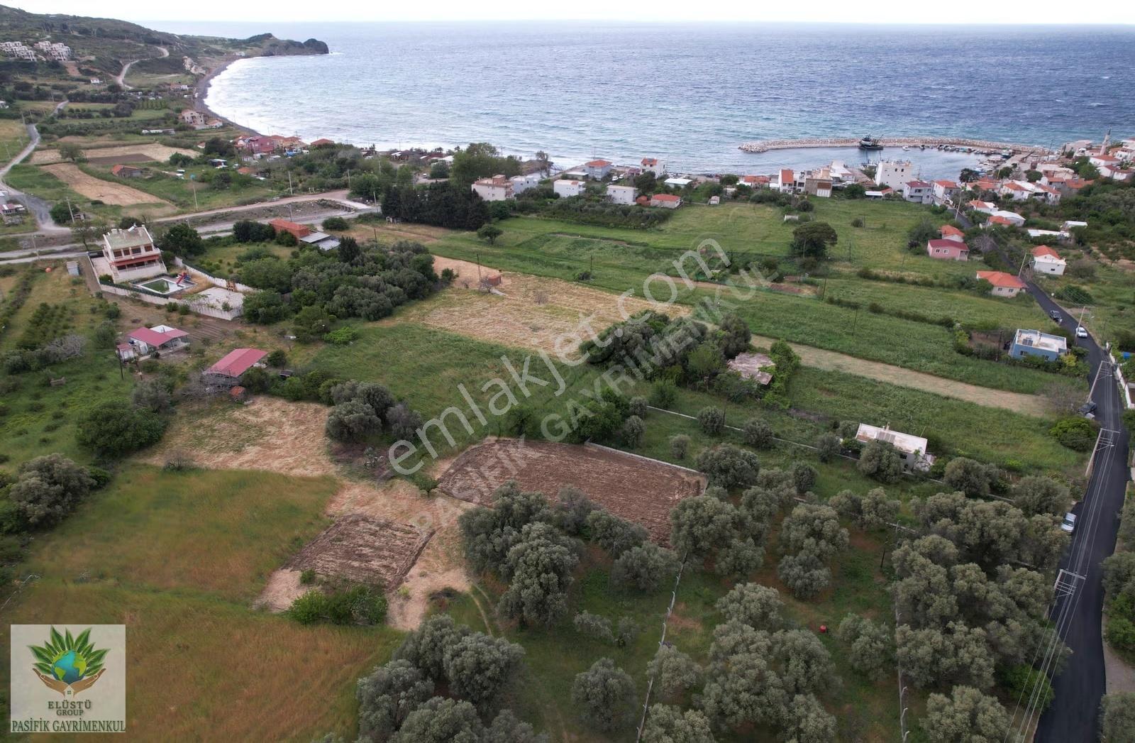 Pasifikten Karaburun Tepebozda 815 M² Denize 200 Metre Arazi - Görsel 9