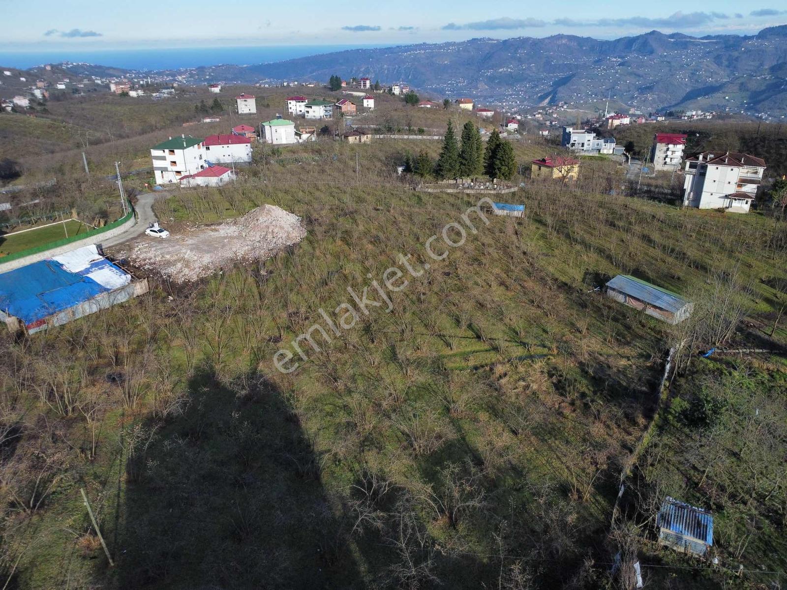 Trabzon Akolukta Fırsat Arsa - Görsel 5