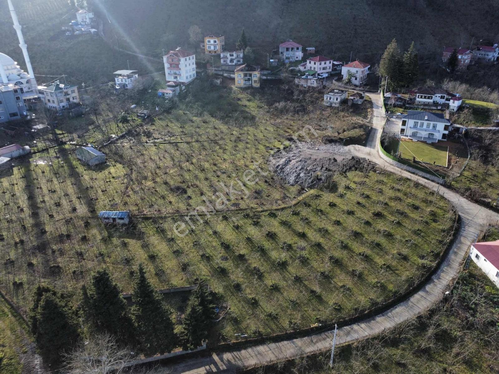 Trabzon Akolukta Fırsat Arsa - Görsel 10