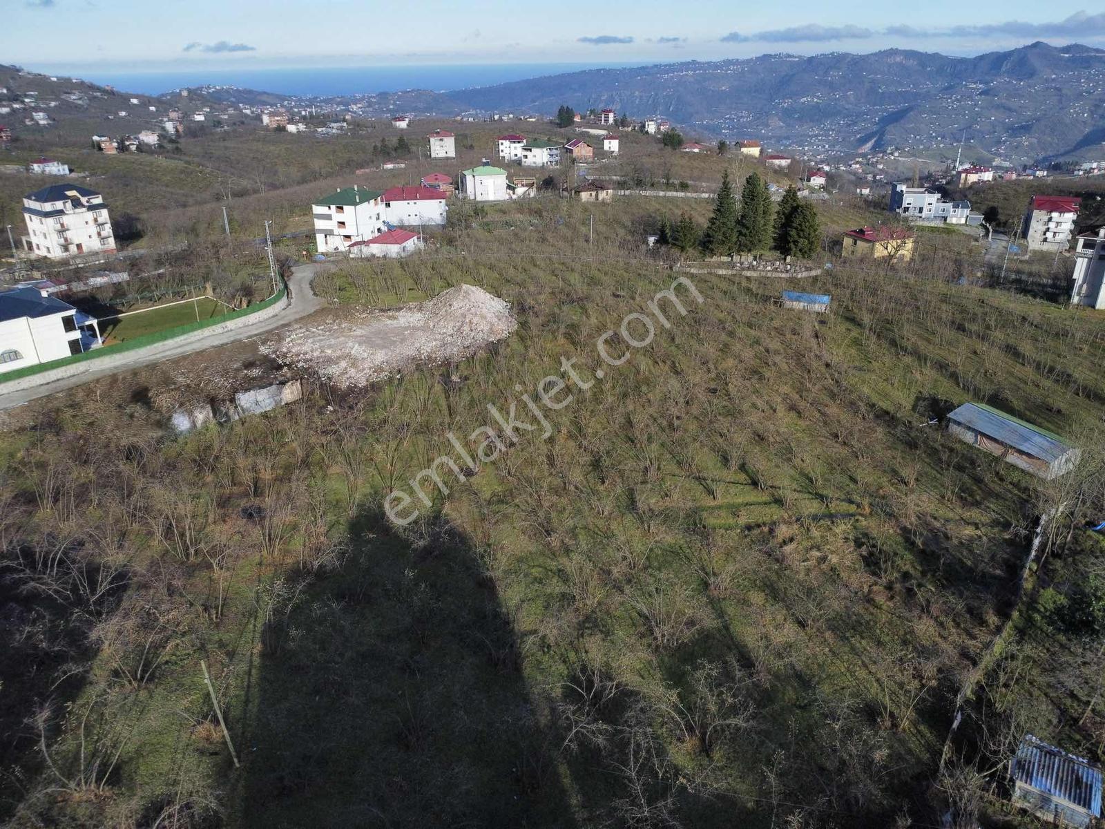 Trabzon Akolukta Fırsat Arsa - Görsel 25