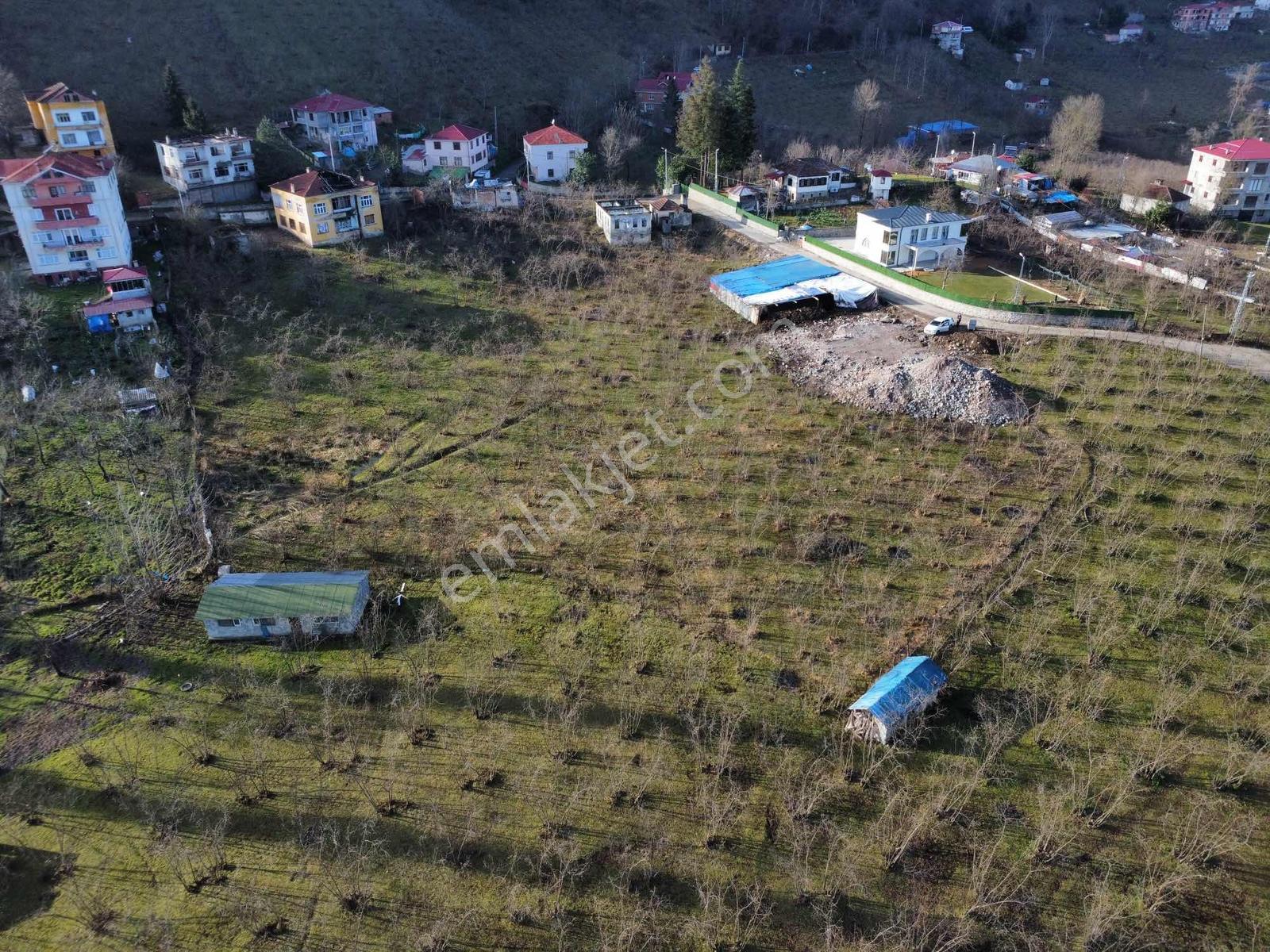 Trabzon Akolukta Fırsat Arsa - Görsel 6