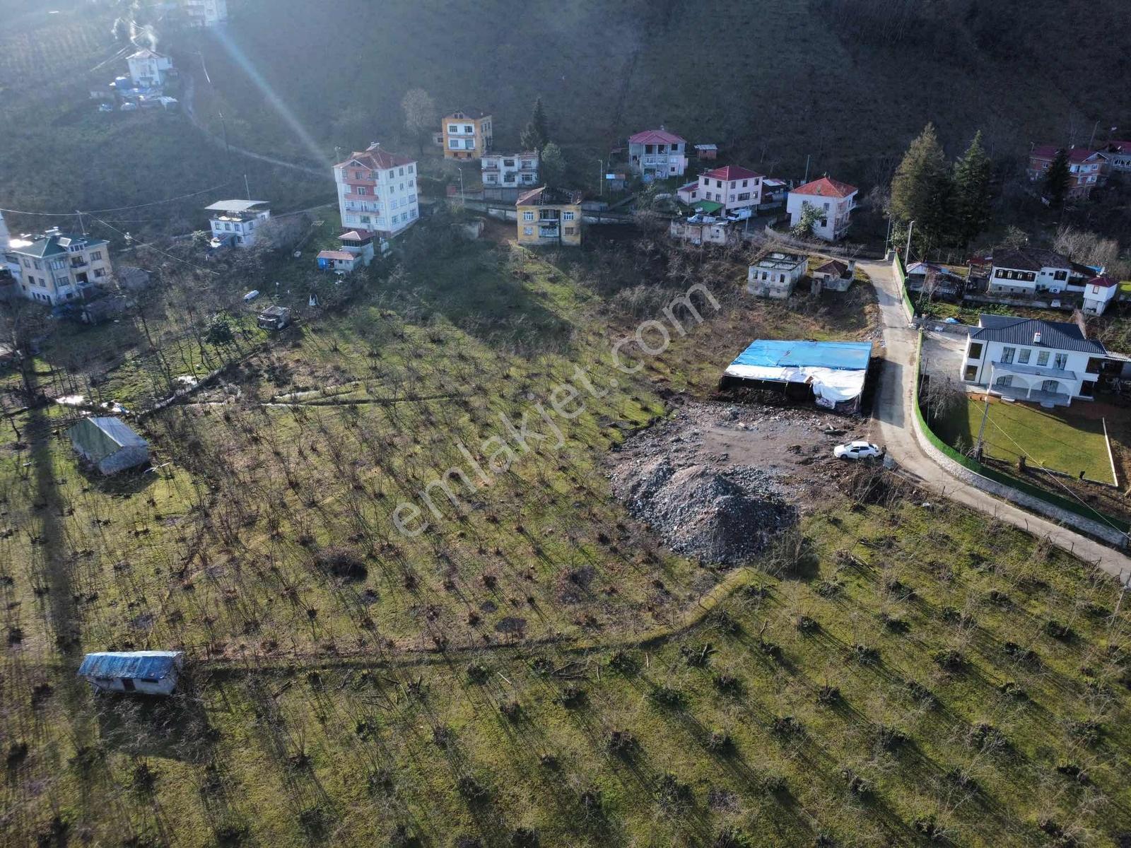 Trabzon Akolukta Fırsat Arsa - Görsel 13