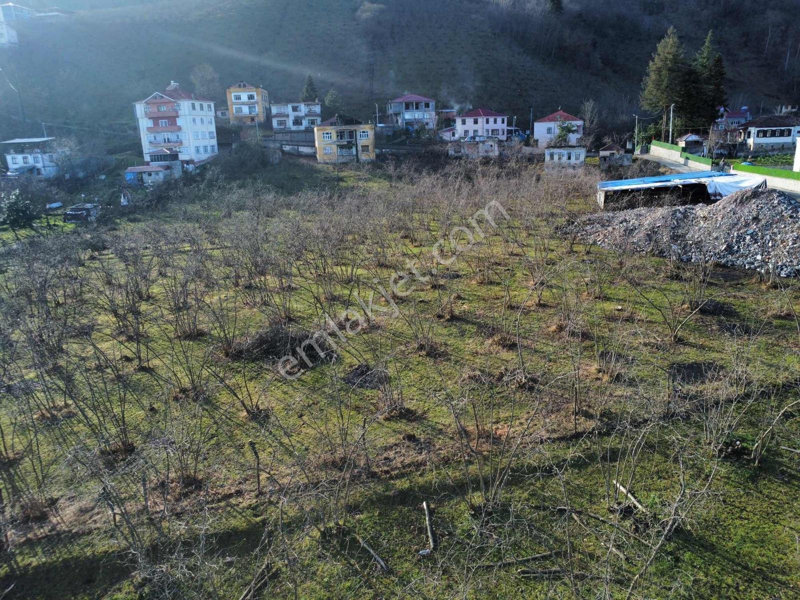 Trabzon Akolukta Fırsat Arsa - Görsel 23