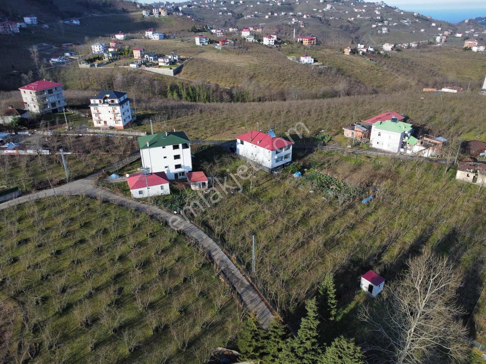 Trabzon Akolukta Fırsat Arsa - Görsel 4