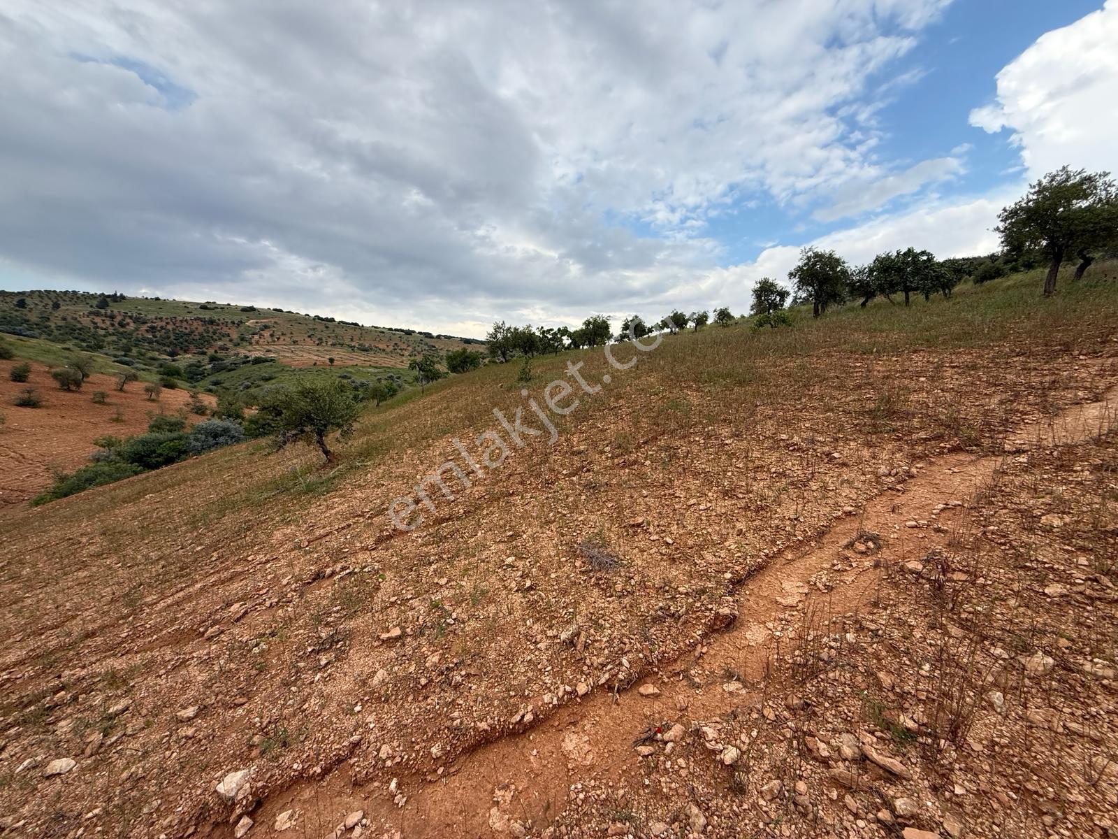 Battal'da Satılık 7500 M2 Kadastro Yol Üzeri Satılık Arazi - Görsel 6