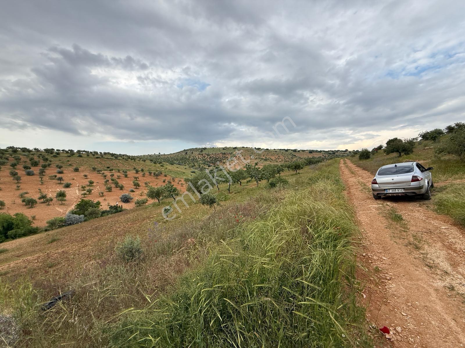 Battal'da Satılık 7500 M2 Kadastro Yol Üzeri Satılık Arazi - Görsel 8
