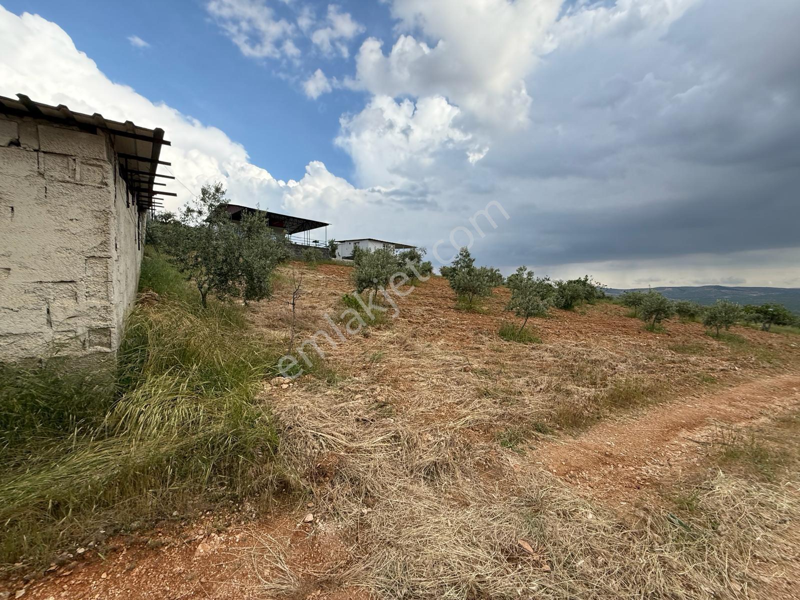 Battal'da Satılık 7500 M2 Kadastro Yol Üzeri Satılık Arazi - Görsel 29