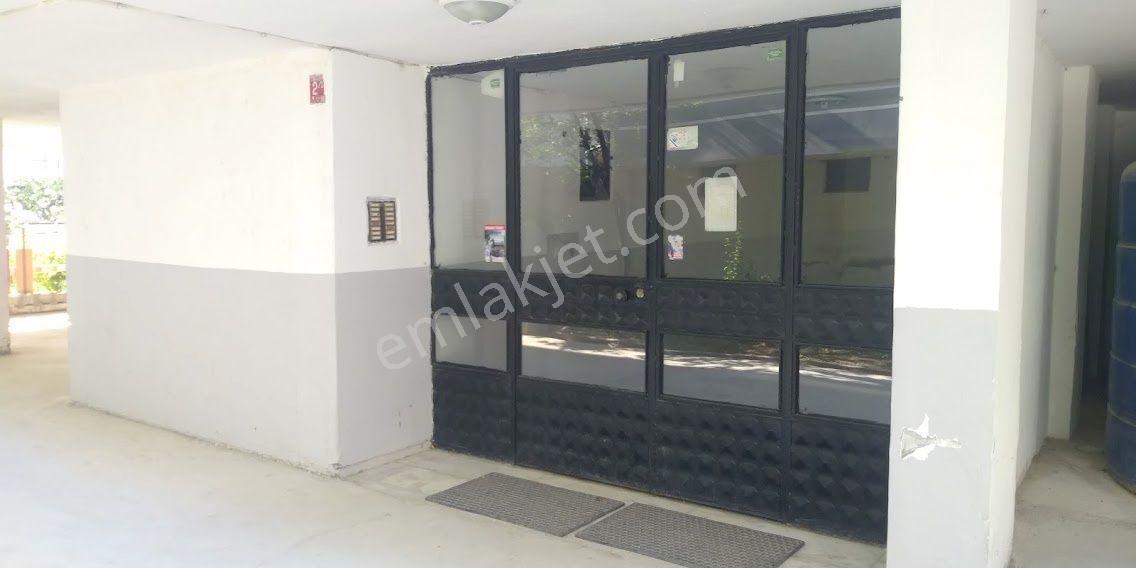 Ayvalık Sarımsaklı Ferah Aydınlık 3+1 Kiralık Daire - Görsel 3