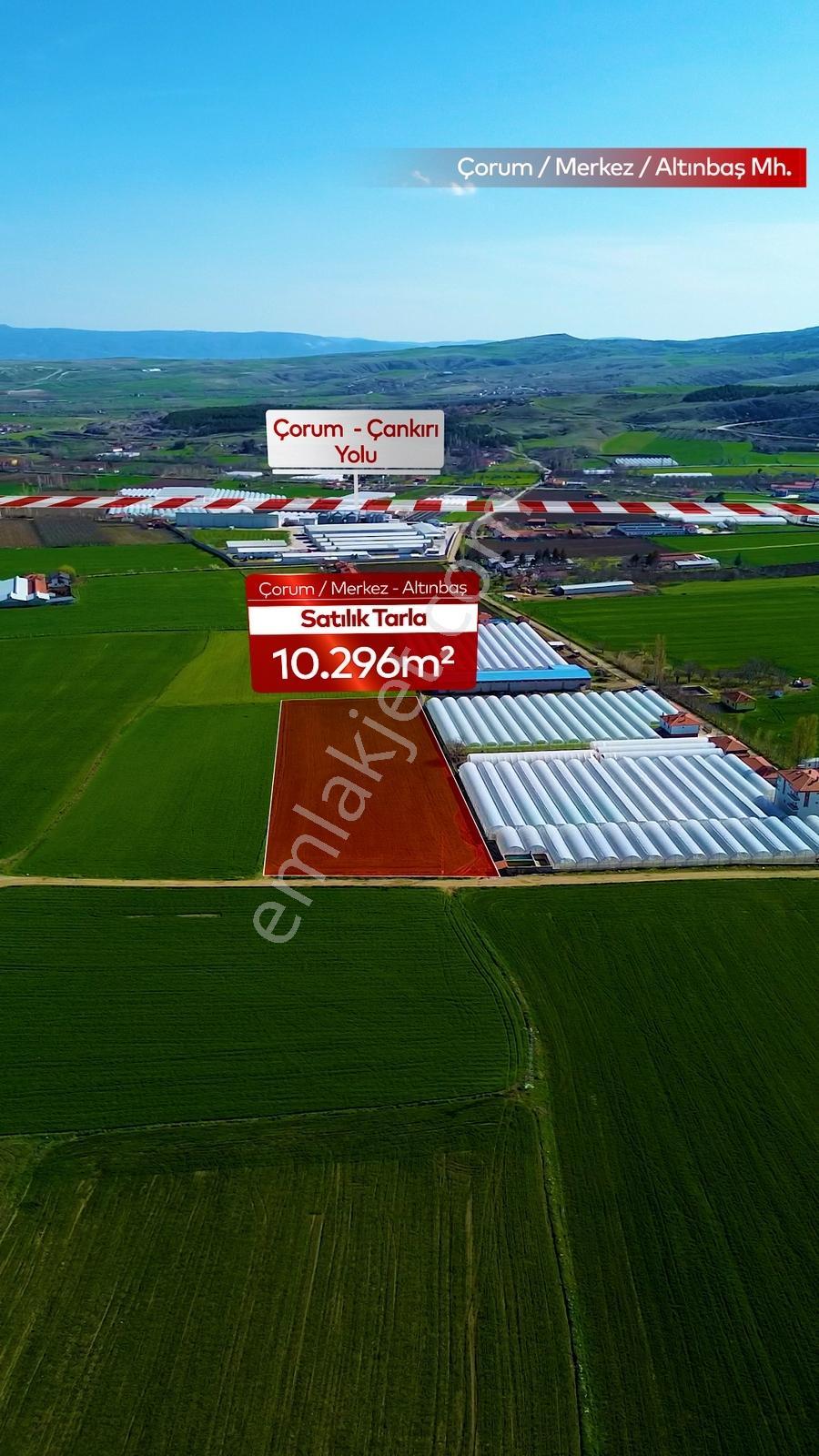 Truva'dan Çorum Altınbaş Köyü'nde 10296 M2 Sera Olabilecek Tarla