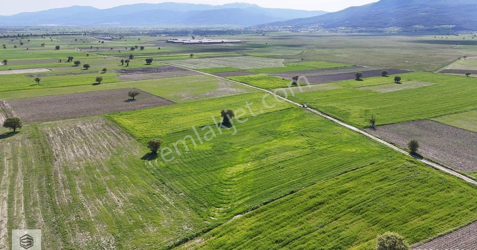 Burdur Bucak Ürkütlü'de 9712m2 Tarla - Görsel 2