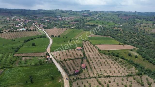 Eşme Cevizli Köyü'nde 14.700 M² Satılık Ceviz Bahçesi - Görsel 3