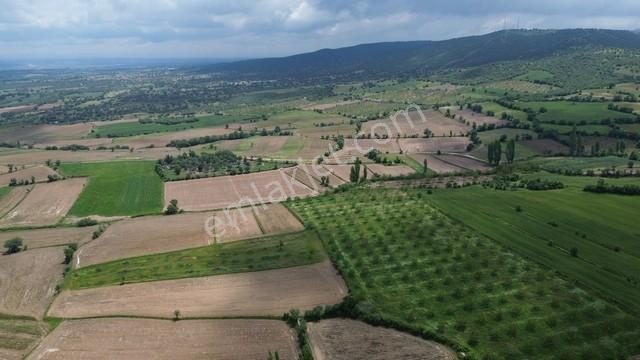 Eşme Cevizli Köyü'nde 14.700 M² Satılık Ceviz Bahçesi - Görsel 8