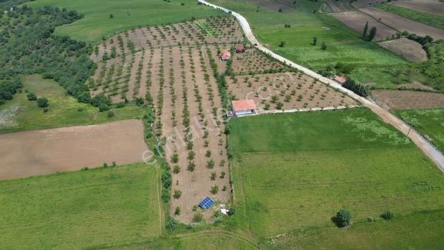 Eşme Cevizli Köyü'nde 14.700 M² Satılık Ceviz Bahçesi - Görsel 4