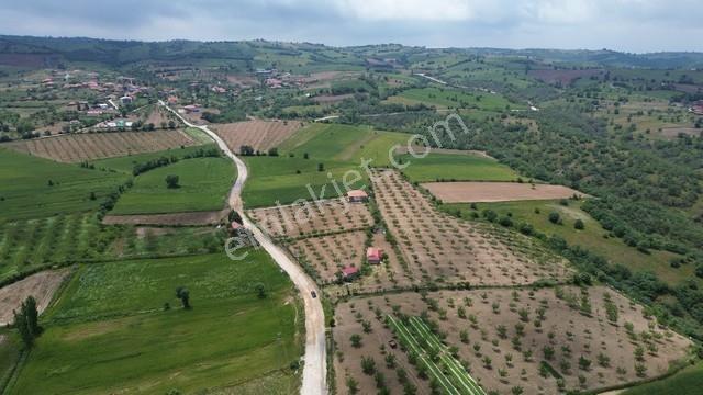 Eşme Cevizli Köyü'nde 14.700 M² Satılık Ceviz Bahçesi - Görsel 6