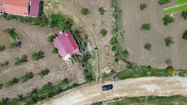 Eşme Cevizli Köyü'nde 14.700 M² Satılık Ceviz Bahçesi - Görsel 2