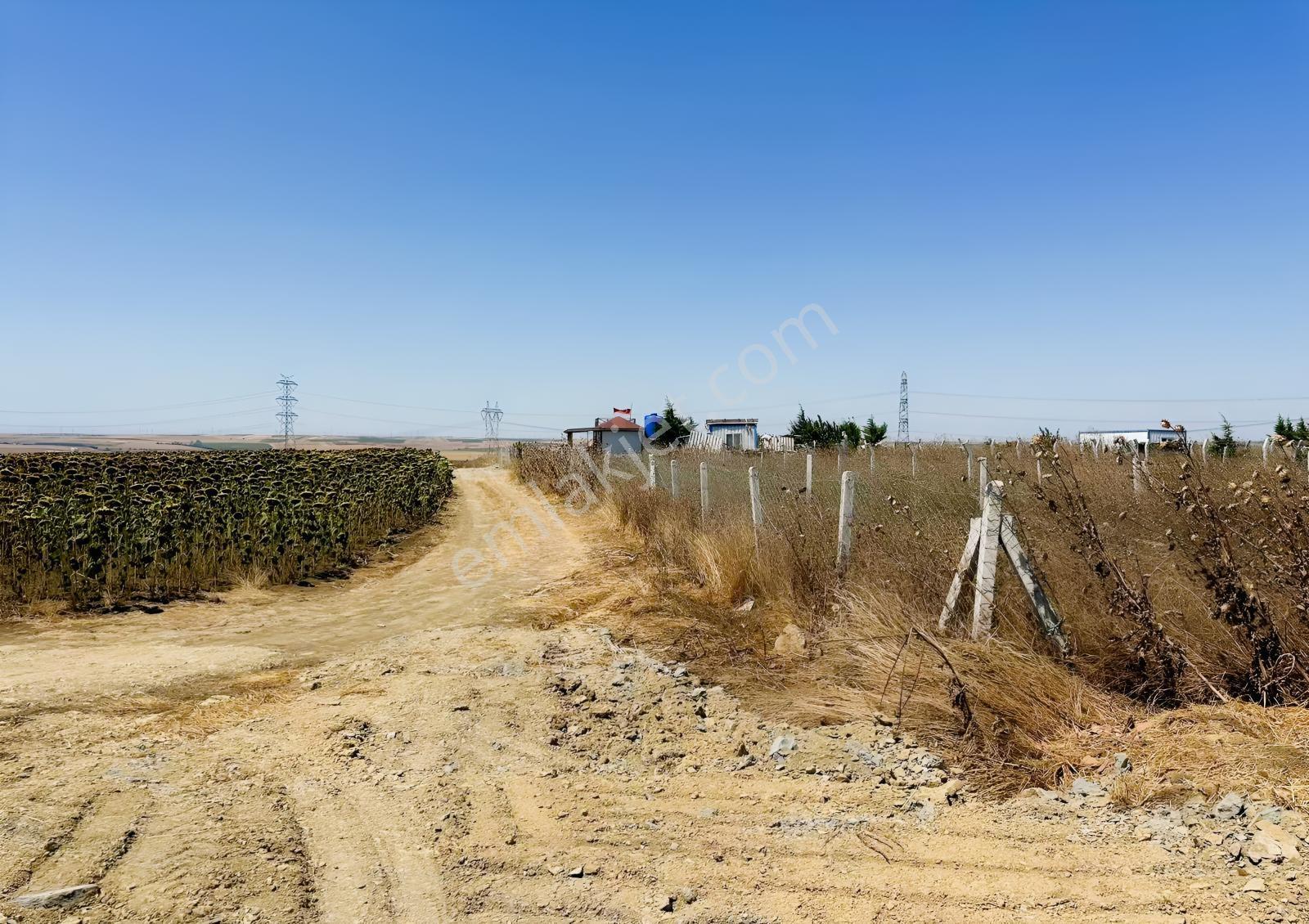 Gümüşyaka'da Etrafı Çevrili İmar Sınırında Satılık Arsa 651m2 - Görsel 24