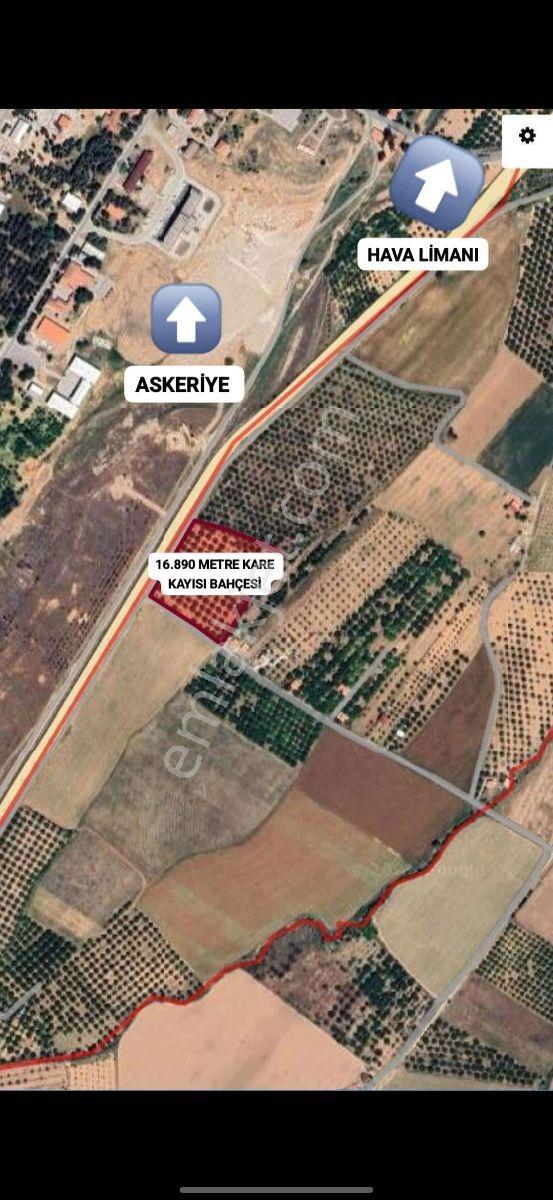 Havaalanı Karşısı Ana Yol Cepheli Kayısı Bahçesi - Görsel 31