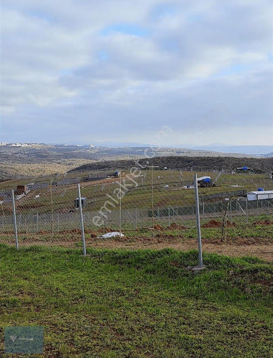 Akviranda Manzaralı 510 M² Yatırımlık Tarla - Görsel 5