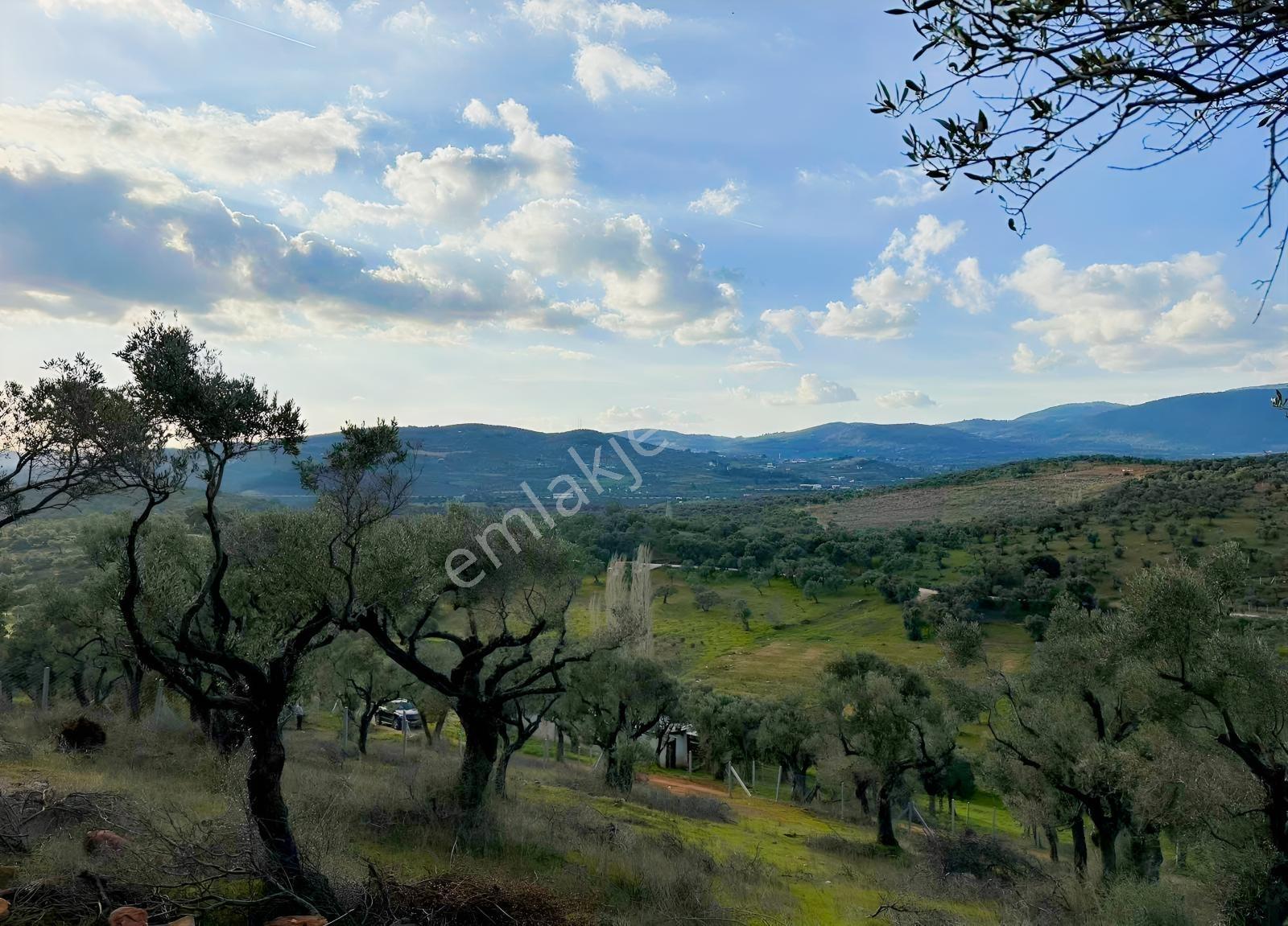 Bakan'dan Karakızlar 1700 M2 - Görsel 4