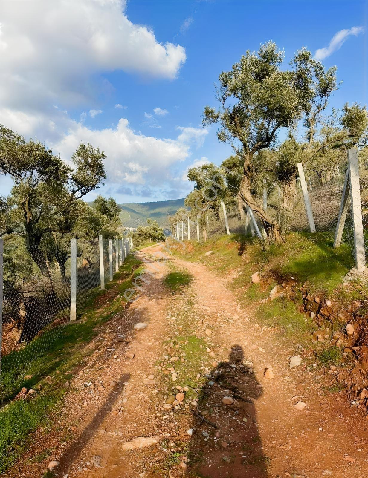 Bakan'dan Karakızlar 1700 M2 - Görsel 6