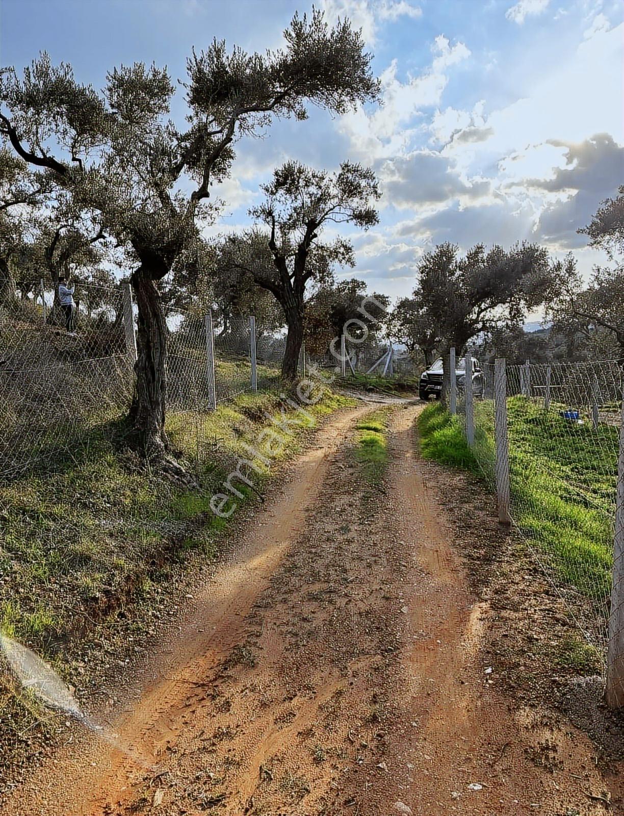 Bakan'dan Karakızlar 1700 M2 - Görsel 7