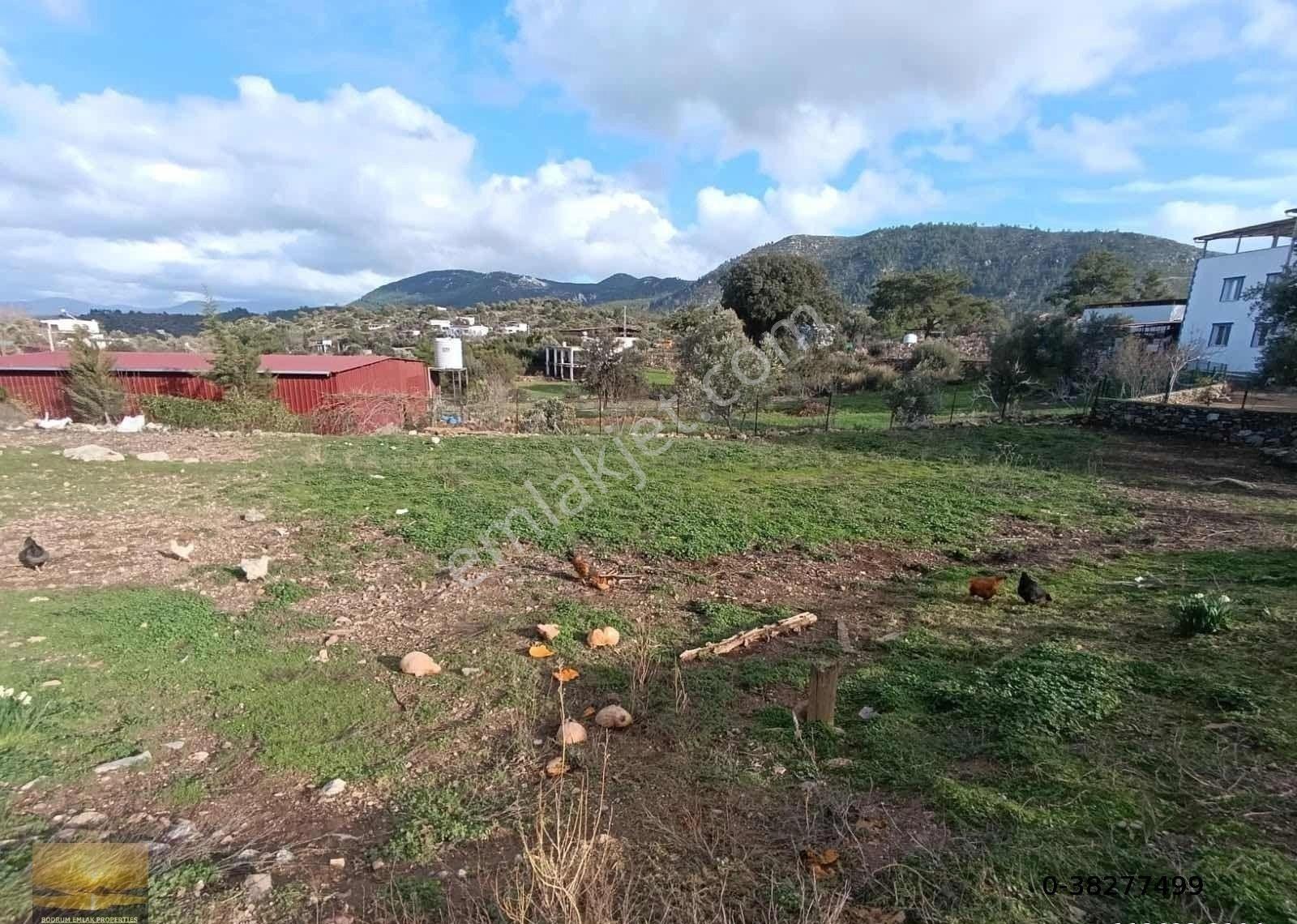 Bodrum Gökpınar Köyünde Satılık İmarlı Arsa Köyiçi İmarlı Tarla - Görsel 21
