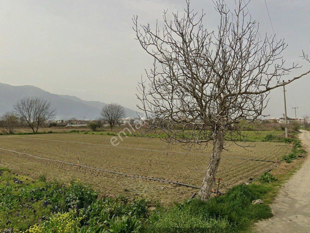 Bursa Gürsu Da İmara 300 Metre Satılık Fırsat Arazi