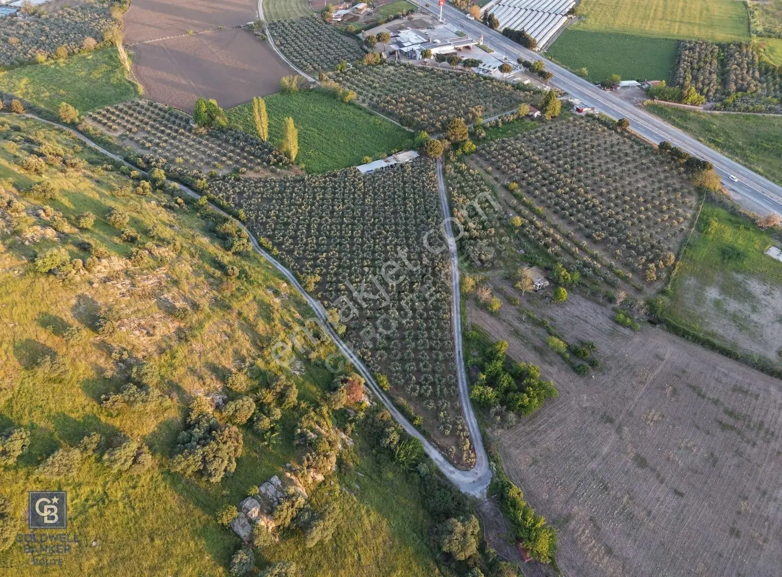 Dikili'de Satılık 10.750m² Zeytinlik Ruhsatlı Ve Hazır Altyapı