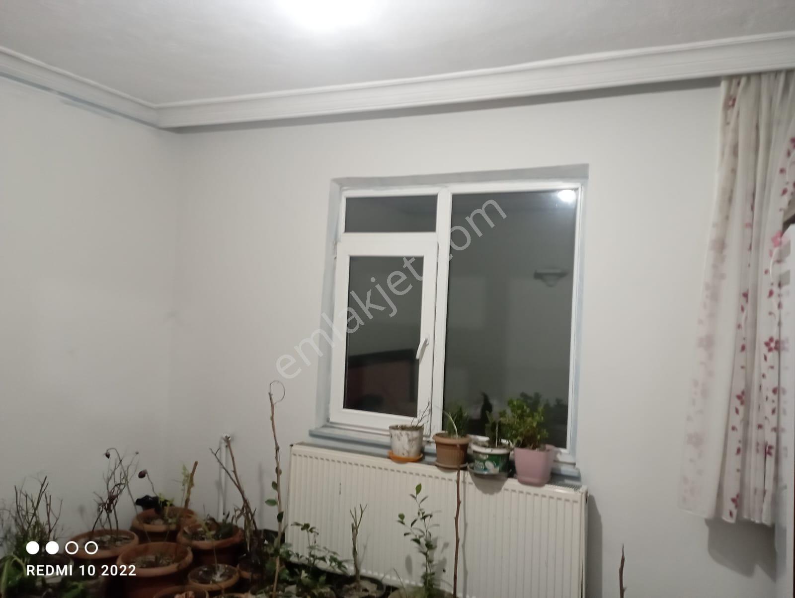 Son Bir Ay.! Ay Sonu İhtiyaç Kalmadığından Fiyat 2'ye Katlanacaktır (6 Milyon Tl) Gerçek Değeri - Görsel 11