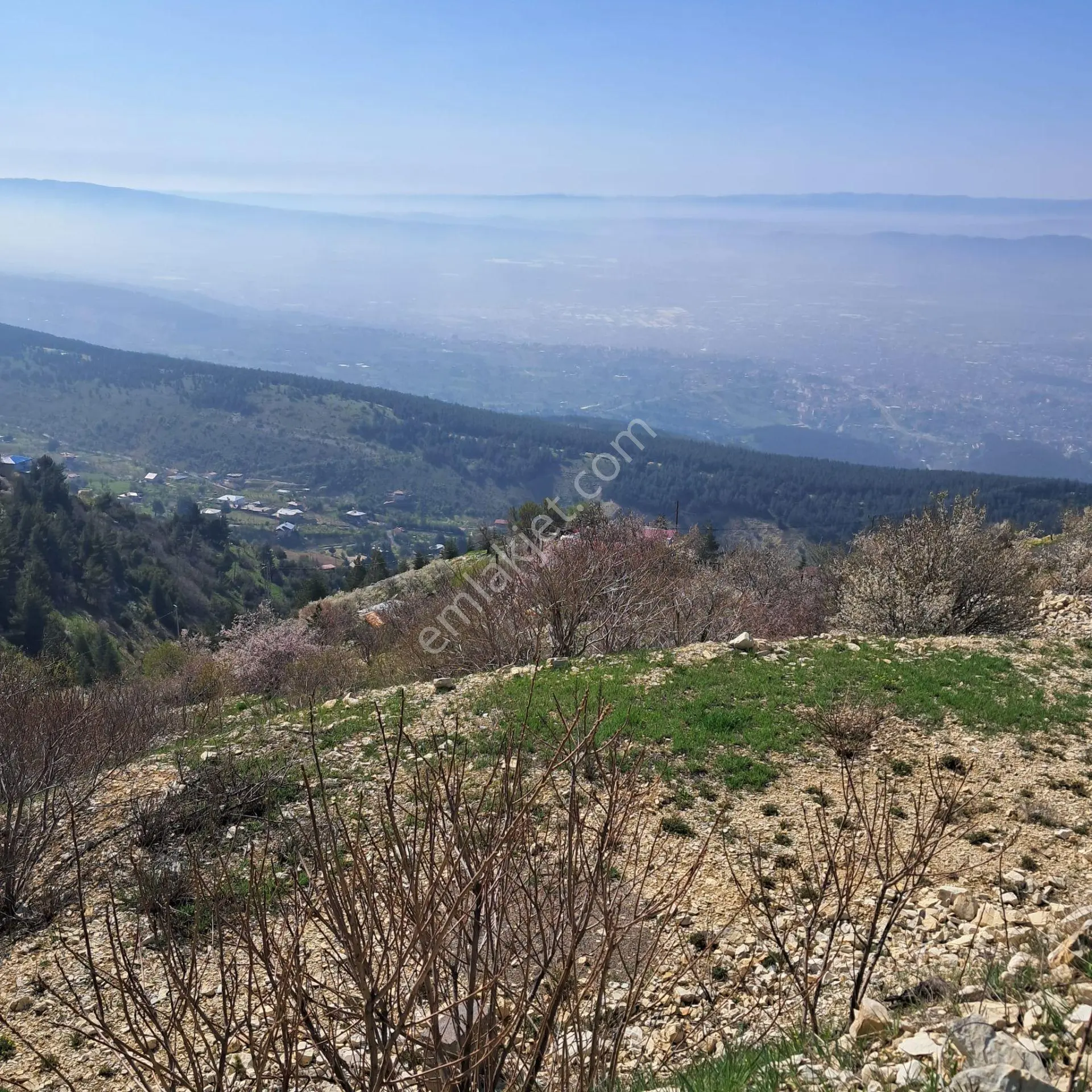 Şehri Gören Ender Bağlardan - Görsel 2