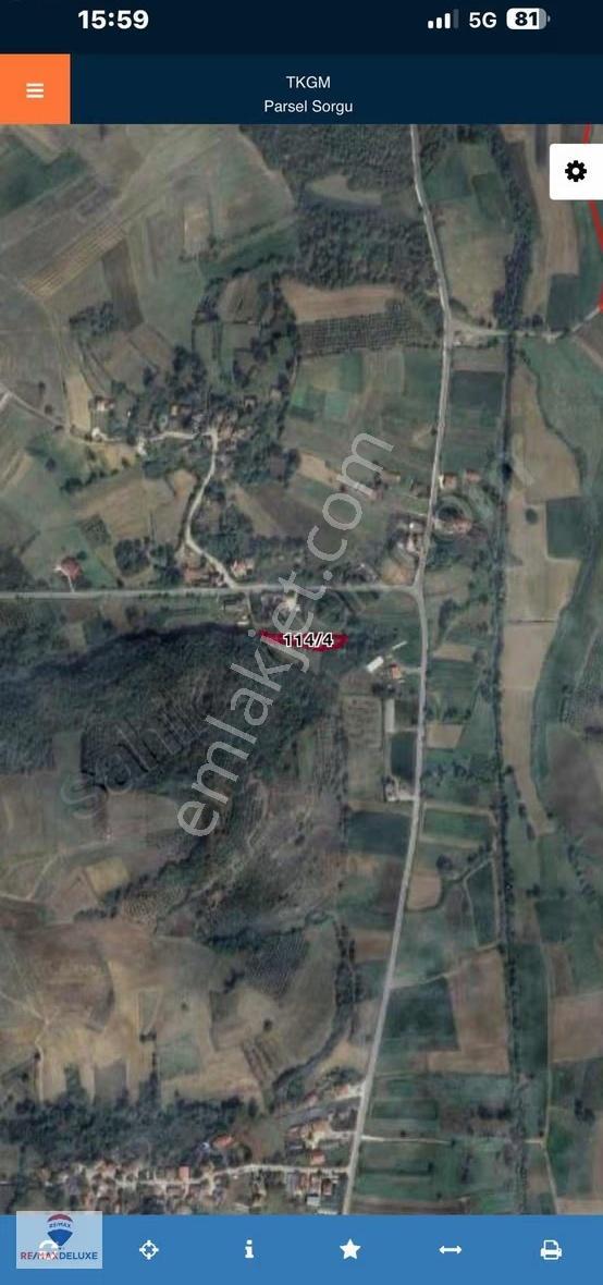 Kandıra Sarıgazi Köyü 1185 M2 Satılık Tarla - Görsel 2