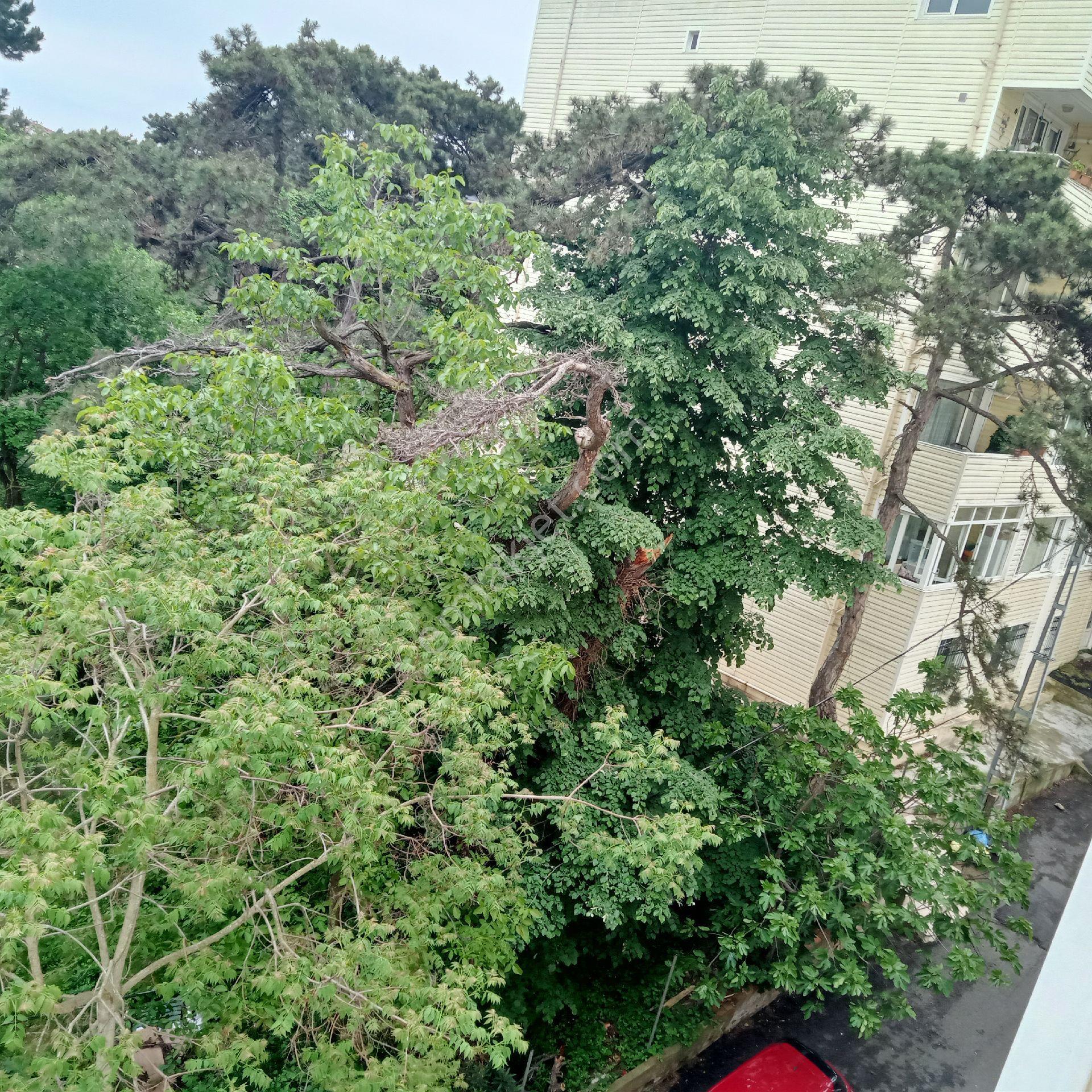Hacıosman Metroda Kiralık.3+1.bakımlı - Görsel 30