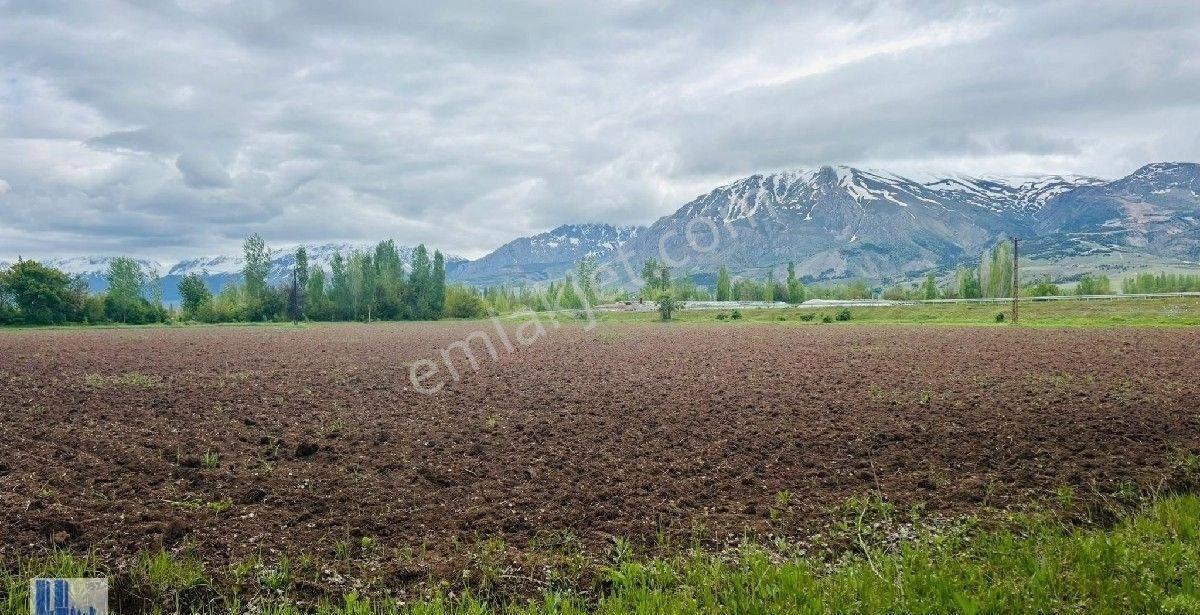 Bedir Emlkatan Çaglayan Yolu Çatal Ören Köyünde Satilik. Arazi. Sulu Tarla - Görsel 11