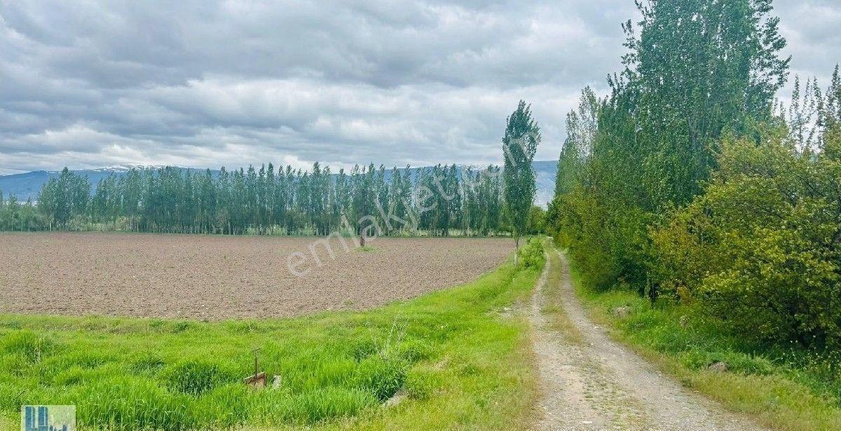 Bedir Emlkatan Çaglayan Yolu Çatal Ören Köyünde Satilik. Arazi. Sulu Tarla - Görsel 8