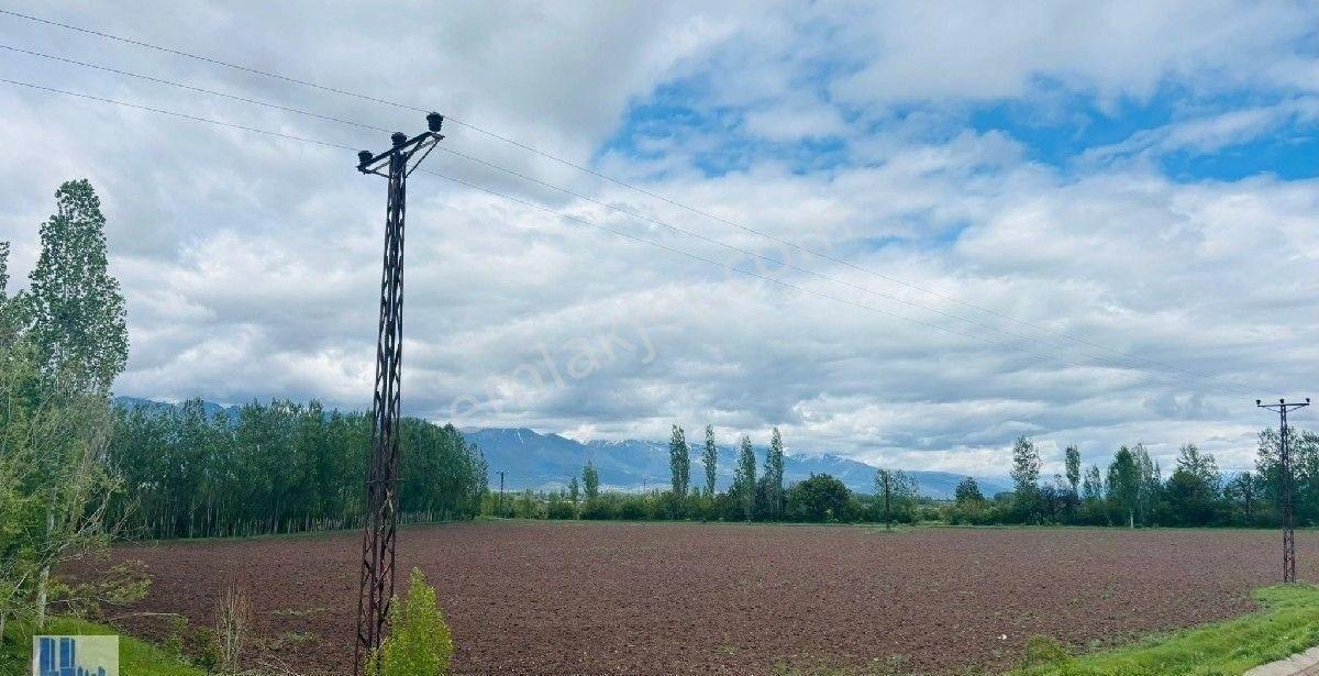 Bedir Emlkatan Çaglayan Yolu Çatal Ören Köyünde Satilik. Arazi. Sulu Tarla - Görsel 5