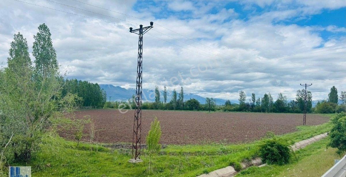 Bedir Emlkatan Çaglayan Yolu Çatal Ören Köyünde Satilik. Arazi. Sulu Tarla - Görsel 15